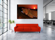 Lounging Leopard Canvas Print - Planet Wall Art