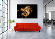 Curious Leopard Canvas Print - Planet Wall Art