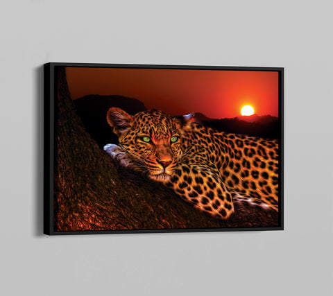 Lounging Leopard Framed Poster - Planet Wall Art