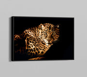 Curious Leopard Framed Poster - Planet Wall Art