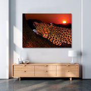 Lounging Leopard Canvas Print - Planet Wall Art