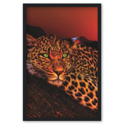 Lounging Leopard Framed Poster - Planet Wall Art