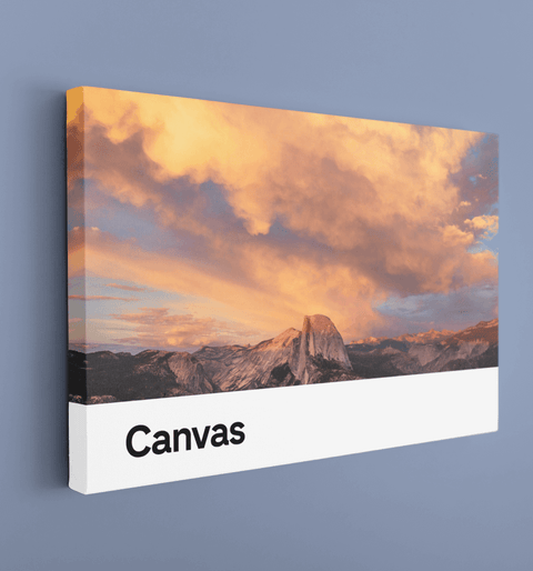 Watercolor Polo Canvas Print