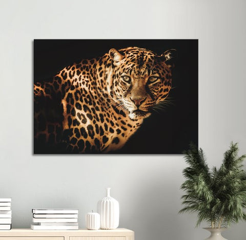 Curious Leopard Canvas Print - Planet Wall Art