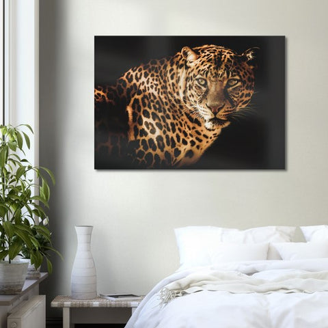 Curious Leopard Canvas Print - Planet Wall Art