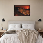 Lounging Leopard Framed Poster - Planet Wall Art