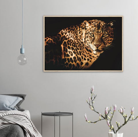 Curious Leopard Framed Poster - Planet Wall Art