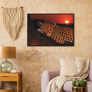 Lounging Leopard Framed Poster - Planet Wall Art