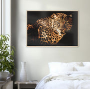 Curious Leopard Framed Poster - Planet Wall Art