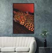 Lounging Leopard Framed Poster - Planet Wall Art