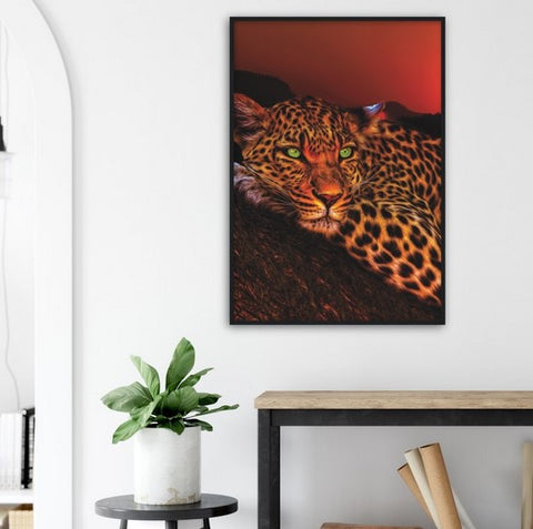 Lounging Leopard Framed Poster - Planet Wall Art