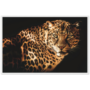 Curious Leopard Framed Poster - Planet Wall Art