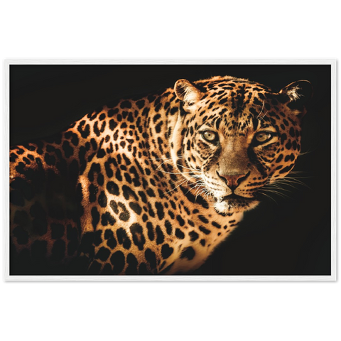 Curious Leopard Framed Poster - Planet Wall Art