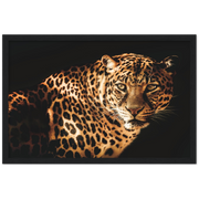 Curious Leopard Framed Poster - Planet Wall Art