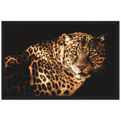 Curious Leopard Framed Poster - Planet Wall Art