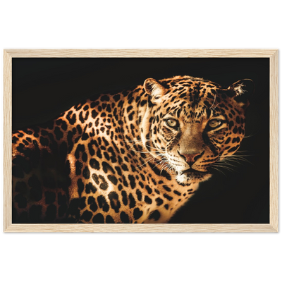 Curious Leopard Framed Poster - Planet Wall Art