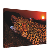 Lounging Leopard Canvas Print - Planet Wall Art