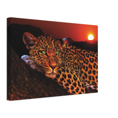 Lounging Leopard Canvas Print - Planet Wall Art