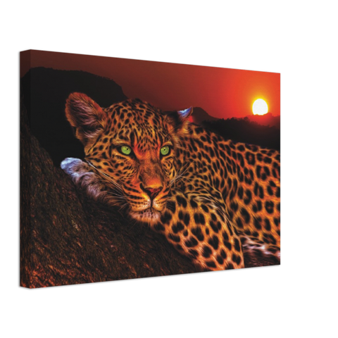 Lounging Leopard Canvas Print - Planet Wall Art