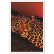 Lounging Leopard Framed Poster - Planet Wall Art