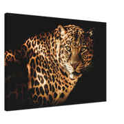 Curious Leopard Canvas Print - Planet Wall Art