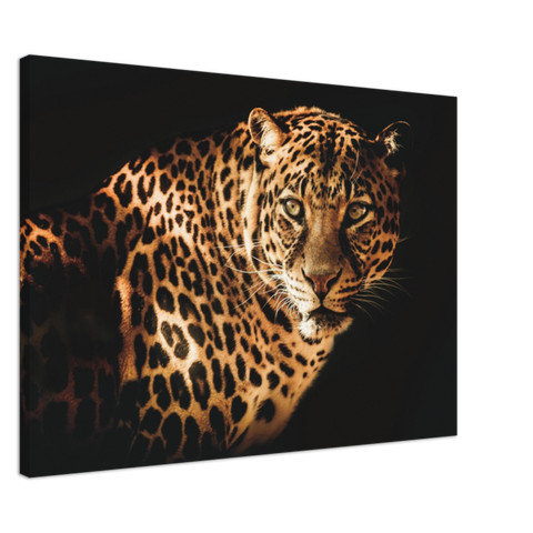 Curious Leopard Canvas Print - Planet Wall Art