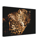 Curious Leopard Canvas Print - Planet Wall Art