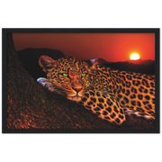 Lounging Leopard Framed Poster - Planet Wall Art